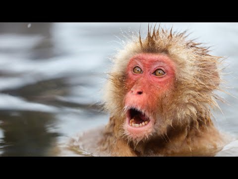 Cracking my ISB MBA Interview 😎 Shatakshi GGI | Ex-Boston Consulting Group, BCG