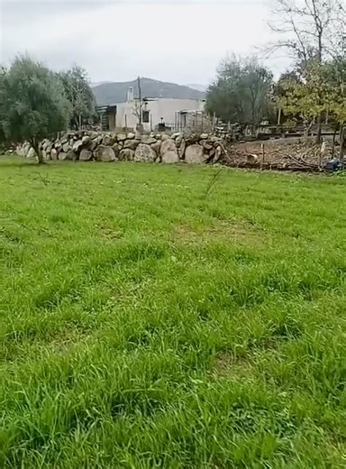 Video di Mariassunta72Arzana (@mariassunta72arzana) con Como cheria - Remastering Version - Bertas