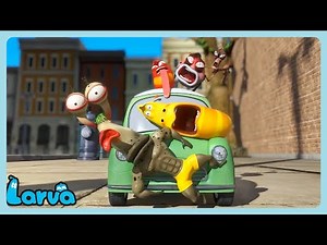 천천히! | WildBrain 한국어 | 어린이를 위한 만화 Larva