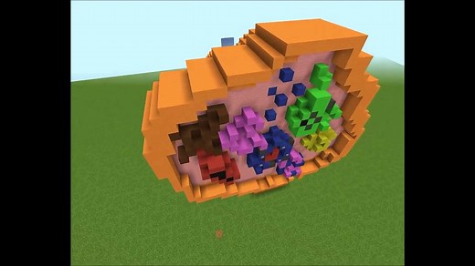 Minecraft Animal Cell Model