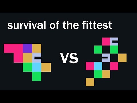 Building a Zoo with Evolution [The Life Engine]