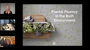 Neocon Virtual Programming: Fractal Vision - A Stress Reductive Approach to the Built Environment