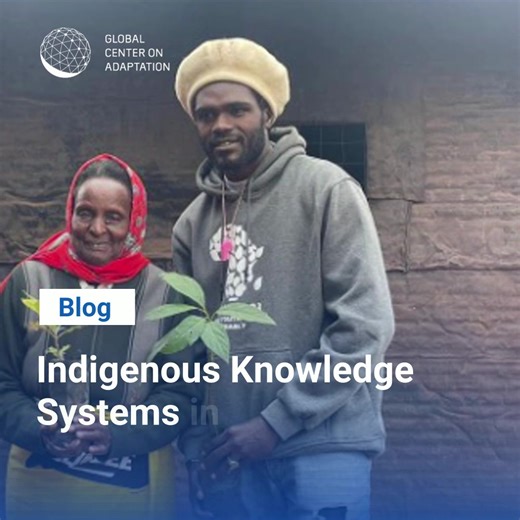 Climate impacts are reshaping farming techniques across the world. As rainfall becomes unreliable, Indigenous seeds and centuries-old regenerative practices are at risk. Protecting this knowledge is essential for resilient food systems. Sankara Nyaga shows how Indigenous communities, from Kenya to Zambia, are leading adaptation through time-tested farming practices. 👉 Read more: https://brnw.ch/21wYqwU | Global Center on Adaptation