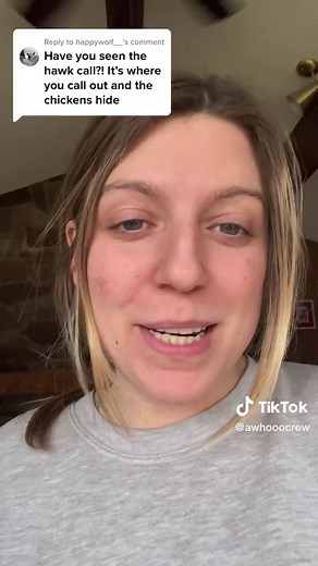 Mastering the Hawk Call for Chicken Safety