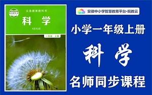 【小学同步课】小学科学一年级上册名师讲解同步课程，教科版小学123456年级上下册全学期空中课堂，小学科学一年级优质课公开课，小学科学一年级实用视频教学课程