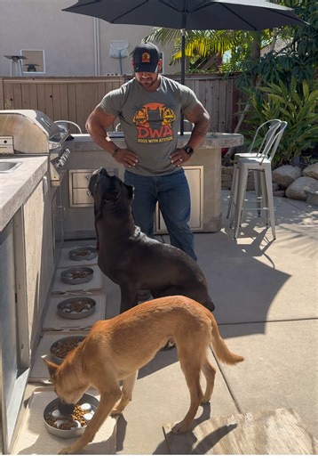 How to Achieve Shiny Dog Coats with Native Pet Omega Oil