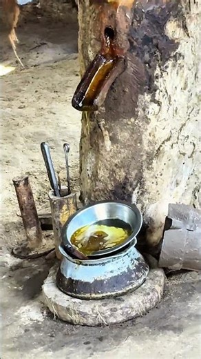 Fresh Mustard Oil Extraction Process 🌿🛢️