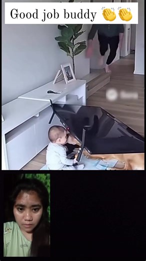 A hero with four legs 👏 Good job buddy 👏 #cttocredittotherightfulowner #followers | Jolly Penolio