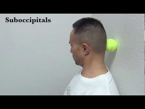 Tennis Ball: Base of Skull (Suboccipitals)