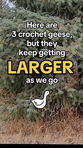 Are you a silly goose like me? Then you definitely need a crochet goose companion! Lucky for you, I have 3 crochet goose patterns in 3 different sizes, so you can pick the perfect one for you (or all 3! 😉🪿) The first 2 have free video tutorials on my Yew Tewb as well as PDF patterns available on my website, Ravelry and Etsy. Giant Goose is free on my blog and Ribblr. You can find all of these thru the Lincoln my Bye-oo (or here https://Linktr.ee/GracefaceCreates if you are see this on FB) Tags