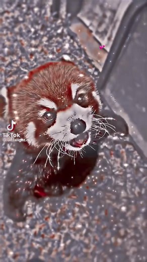 Que lindo :3💕#jesusdios#fyp