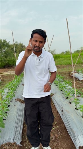 आधी चेक करा मगच ड्रिपच्या नादी लागा💧💯 #shorts #indianfarmer