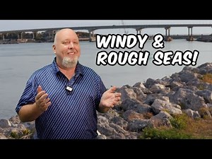 Florida Fishing Report Reveals Best Live Baits