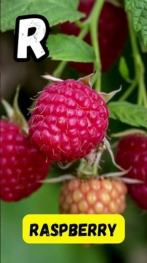 ABC Fruit Song 🍎 | Fun A to Z Fruits for Kids | Learn with Music | #abcd #kids #viralvideo