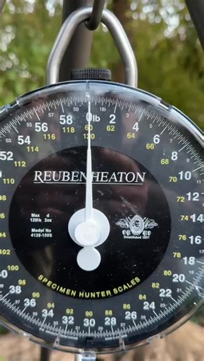 Another 60lber from the Phenomenal elf lake!!!! www.lesquis.com | Les Quis