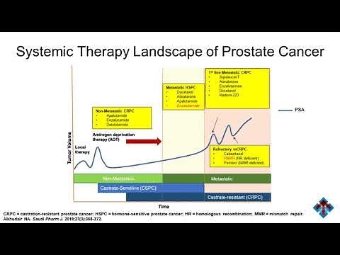 Prostate Cancer: Clinical Guidelines, Novel Therapies, and Therapeutic Uncertainty