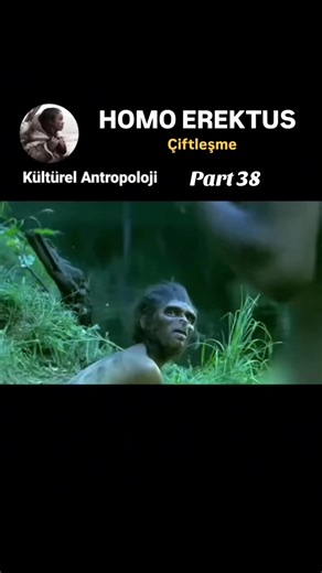 İnsan Evrimi & Homo Erektus Homo erectus was more intelligent and physically capable than earlier human species. They had a body shape similar to modern humans, which allowed them to walk and run efficiently. Homo erectus hunted animals, gathered plants, and likely shared food within their groups. Their use of tools and fire suggests early planning and problem-solving abilities, making them a crucial link in human evolution. Mating behavior in early human species, such as Homo erectus, was shape