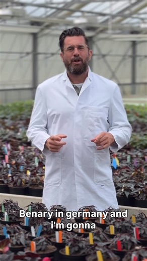 Michael Perry on Instagram: "Exclusive Grower Tips for Begonias! Here’s how to get the best out of your baskets of begonias!! Fresh intel from @benary_com ✨"