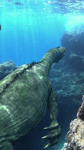 Nothosaurus was a semi-oceanic animal which lived in the Triassic period, approximately 240–210 million years ago. It was about 5–7 metres (16–23 ft)