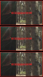 11K views · 694 reactions | Jesus breaks through the darkness and calms your anxious heart. | Jeremy Camp | Facebook