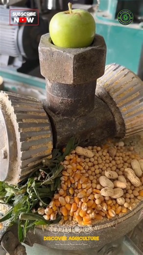 Amazing Pellet Feed Making Machine