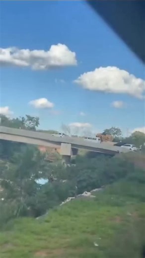 BAURU INTERIOR on Instagram: "🚨 Atenção 🚨 Acidenre Na curva que sai da Rodovia Marechal Rondon que vai para o Mary Dota. Trânsito lento no local"