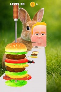 XXL Sandwich🍔 ||Make Extra Large Hamburger Cheese Burger Part 30 #xxlsandwich #shortsvideo #shorts