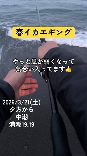 春イカエギング行ってきました！ 三保名物のミズウオも登場😅 ネックマウントの撮影もまぁなんとかやれそうなので動画作りやすくなりました👌 配信もしたいのですがドキドキしちゃうww 今はフォロワーさんを増やす事に重点を置いていますのでフォローお願いします🙇‍♂️ #静岡 #エギング #ミズウオ