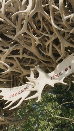 Jackson Hole, Wyoming on Instagram: "Town Square has tons to offer: shopping, snacks, those iconic arches....👀...so it can get pretty busy. We recommend hitting Town Square early, before you head into the national park/national forest. The square is also a great spot for a post adventure beverage too! Remember to be nice, slow down, and stay alert while driving through. For our history buffs, step back in time with @tetonpreservation's historic downtown walking tour, 🔗 in bio!"