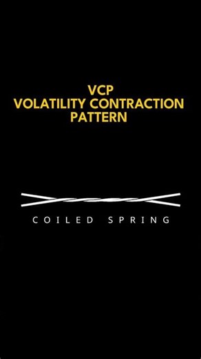 What is a VCP? The "Wet Cloth" Concept Explained (Tamil) | Chart Logic #trading #stockmarket