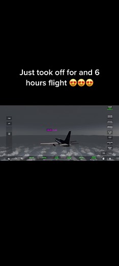 Realistic Flight Simulation of Commercial Airplane