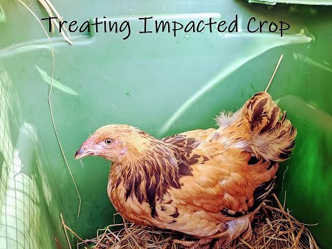 Treating Impacted Crop