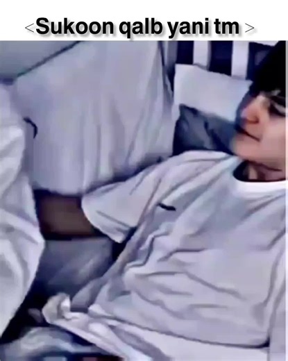 Heartwarming Moments That Touch the Soul