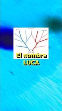 LUCA: This is the Common Ancestor of All Living Beings