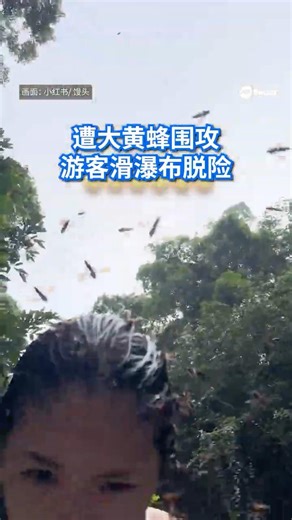 马来西亚三人到雪州利波瀑布游玩，突遭密密麻麻的蜂群围攻叮咬，被困一小时。幸好她们急中生智，冒险从瀑布滑下才逃过一劫。 #8视界新闻网 #马来西亚 #瀑布 #蜂群攻击