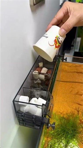 “Feeding Fish – Modern Style 🐠✨ | Smart Aquarium Moment”. #insiderfish #fishtank #aquariumshorts