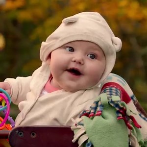 9.8K reactions · 2K shares | An adventure this big takes a whole lot of friends. Follow Bella's journey in A Dog's Way Home – available on Blu-ray, DVD & Digital now!  | A Dog's Way Home | Facebook