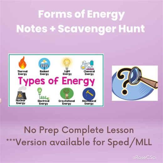 Forms of Energy Lesson   Activity ( MLL Version)