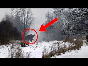 10 Most Horrible Things Scientists Discovered In The Chernobyl Forest!