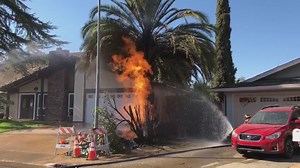 What to do if you suspect a gas leak