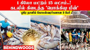 4.6M views · 10K reactions | 1 கிலோ மட்டும் 15 லட்சம்..! கடலில் கிடைத்த 'பொக்கிஷ மீன்'.. ஒரே நாளில் கோடீஸ்வரர்களான 3 மீனவர்கள் | Behindwoods Air News | Facebook