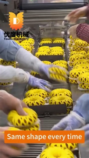 Bread Forming Machine | Custom Shapes with Interchangeable Moulds #bakerymachine#loafbread