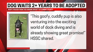 Frazier, who came to the Humane Society of Summit County with bites to his neck and face, has been waiting two years and four months for a “fur-ever” home to call his own. https://tinyurl.com/udpnuw7y | Cleveland 19 News