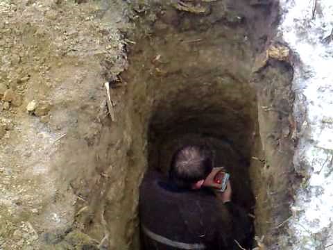 foxing with terrier toots