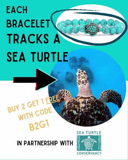 Track a sea turtle with this bracelet! 🐢 Learn your turtle’s name 🌎 Follow them on their journey with exclusive access to a tracking map ❤️ Support the Sea Turtle Conservancy | Fahlo