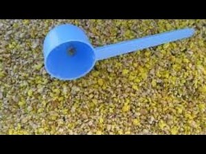 Pâtée faite maison pour tout types d'oiseaux