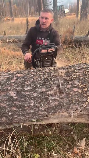 #cuttingskills #forest #tree | Romano