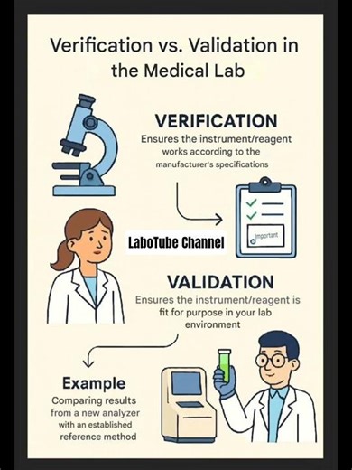 Verification vs Validation