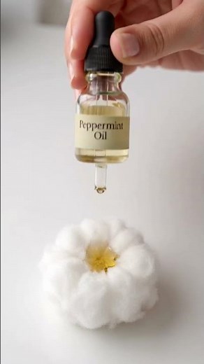Ants Completely Avoid This Scent #naturalpestcontrol #essentialoils #homehacks