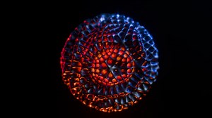 Loop Animation - Seamless Motion Render